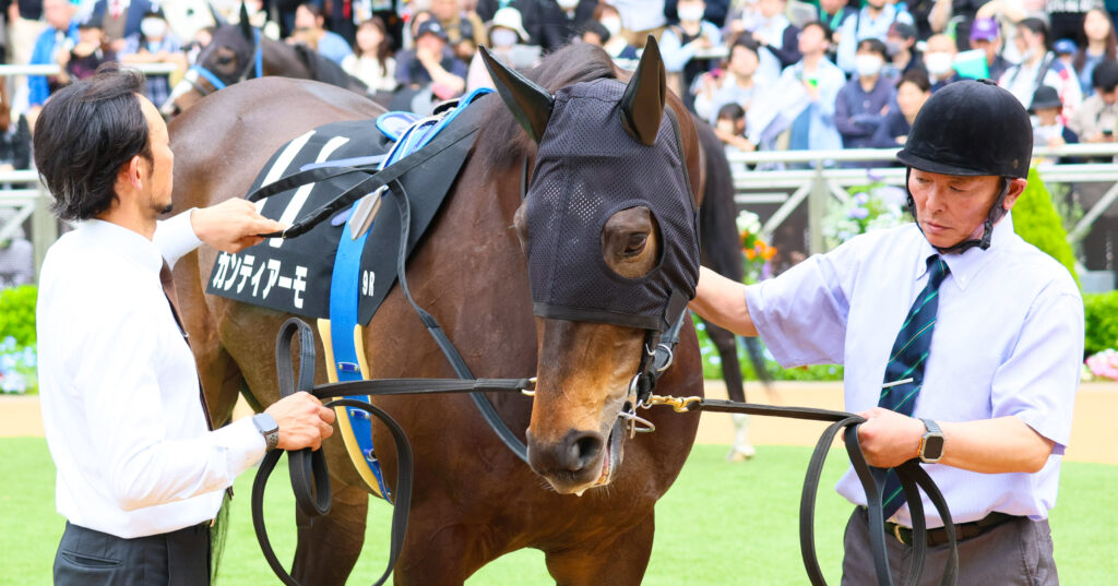 2025年4月20日中山競馬場の野島崎特別、パドックで落ち着いた歩様を見せる出資馬カンティアーモの姿