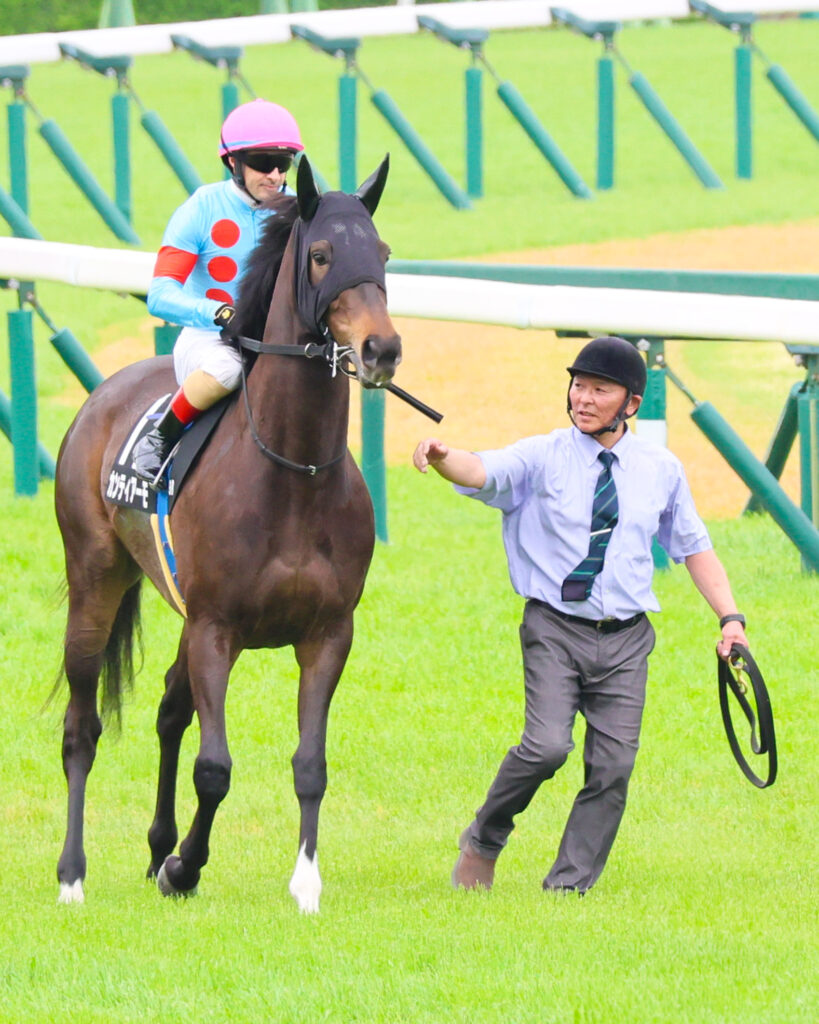 2025年4月20日中山競馬場の野島崎特別、返し馬でルメール騎手が騎乗する出資馬カンティアーモの返し馬シーン