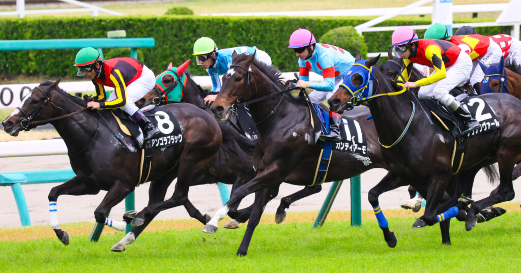 野島崎特別スタート直後、クリストフ・ルメール騎手を背にポジションを取りに行く出資馬カンティアーモ（2025年4月20日中山競馬場）