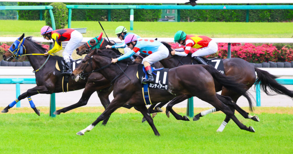 2025年4月20日中山競馬場の野島崎特別、馬群の外からルメール騎手を背にゴールを目指す出資馬カンティアーモのゴール前シーン