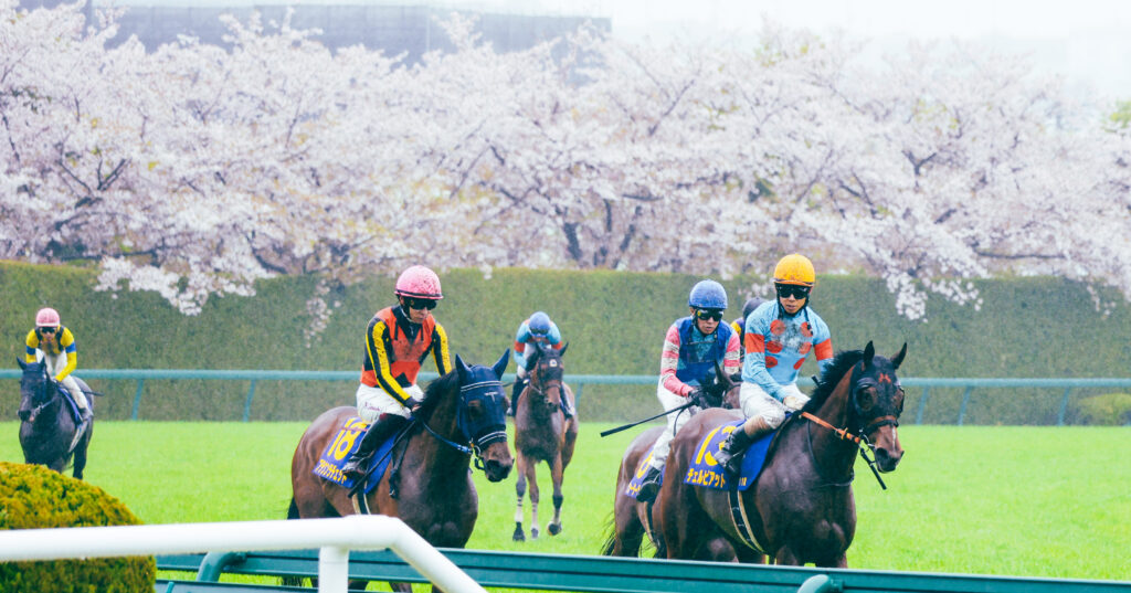 2025年阪神競馬場の桜花賞ゴール後、満開の桜を背景に北村友一騎手騎乗の出資馬チェルビアットが引き上げるシーン