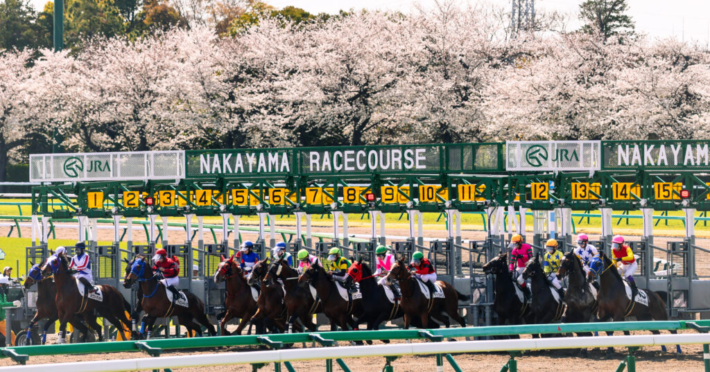 2025年4月5日、中山競馬場で行われた3歳未勝利戦のスタート直後を捉えた写真。満開の桜を背景に、若駒たちがゲートを勢いよく飛び出す春らしい一枚