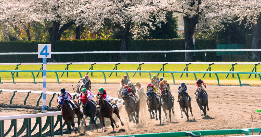 2025年4月5日、中山競馬場で行われた3歳未勝利戦の第4コーナーで撮影された写真。満開の桜を背に、各馬が砂を蹴り上げながら最後の直線へと向かう迫力ある一瞬