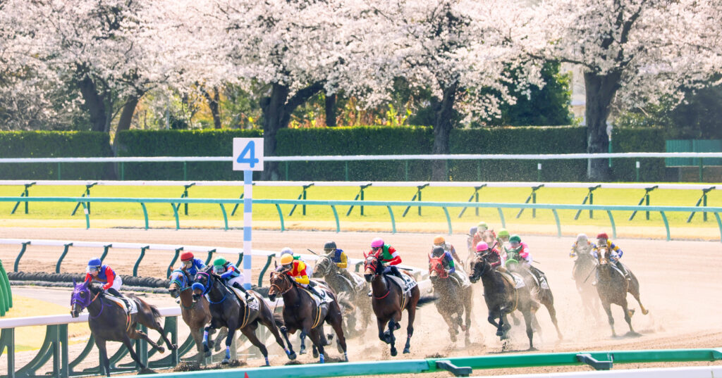 2025年4月5日、中山競馬場で行われた3歳未勝利戦の第4コーナーで撮影された写真。満開の桜を背に、各馬が砂を蹴り上げながら最後の直線へと向かう迫力ある一瞬