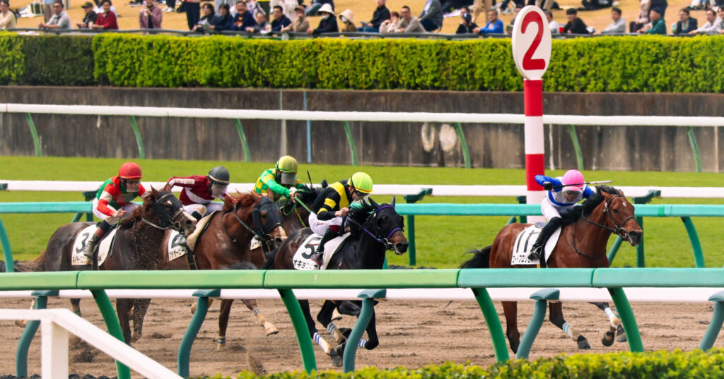 2025年4月5日、中山競馬場で行われた3歳未勝利戦のゴール前で撮影された写真。初勝利を目指す各馬が最後の力を振り絞り、激しく追い込む白熱の瞬間