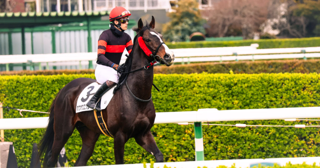 2025年4月5日、中山競馬場で行われた障害レースの本番前、返し馬を行うホウオウエクレールの写真。集中した表情で歩く姿に、レースへ向けた準備の気配が漂う一枚