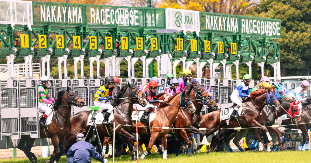 2025年4月5日、中山競馬場で行われた障害レースのスタート直後に撮影された写真。ゲートが開き、各馬が一斉に飛び出す躍動感あふれる瞬間を捉えた一枚