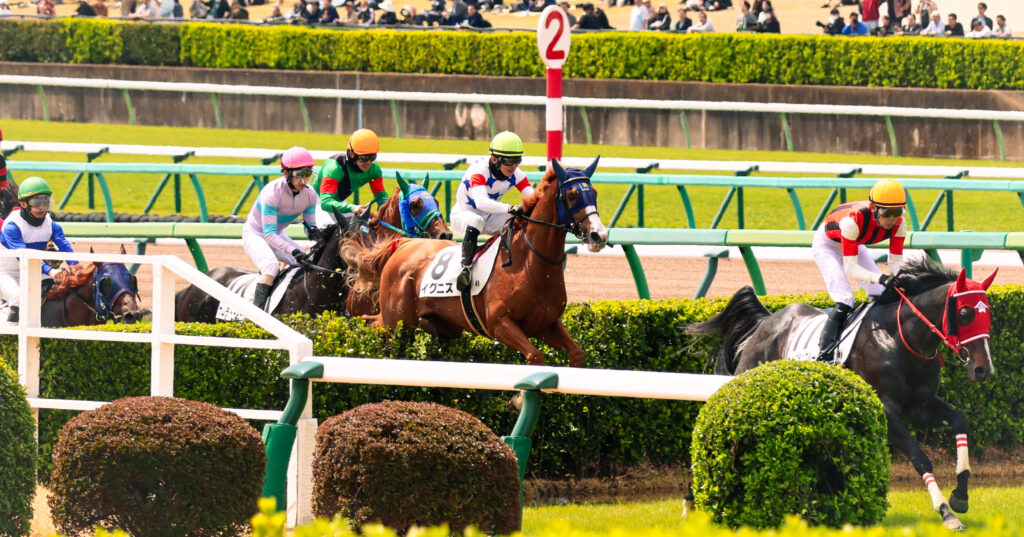 障害レースの見どころ、水濠障害を各馬が危なげなく飛び越えていく2025年4月5日中山競馬場の一枚。整った隊列と安定したフォームが印象的なシーン