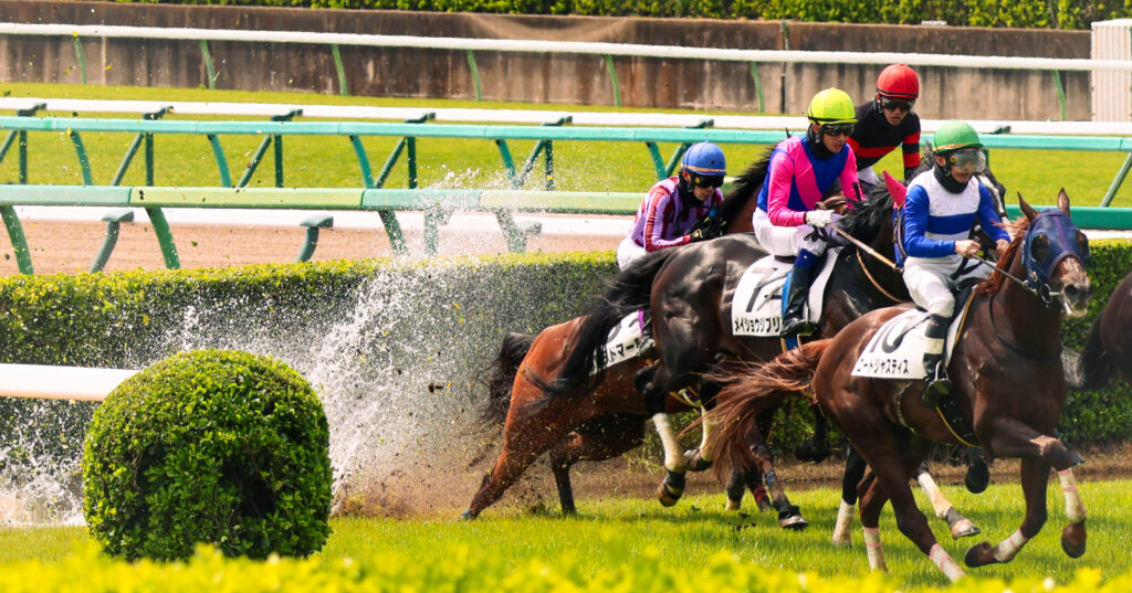 2025年4月5日、中山競馬場で行われた障害レースのワンシーン。水濠障害で後肢を落とした瞬間、水しぶきが上がる緊迫の飛越を捉えた一枚。障害レースの厳しさが伝わる場面