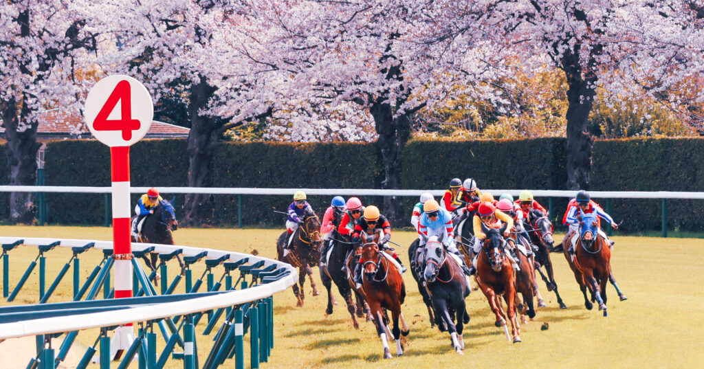 2025年4月5日、中山競馬場で行われた3歳未勝利戦の第4コーナーで撮影された写真。満開の桜を背に、各馬が芝を蹴り上げながら最後の直線へと向かう迫力ある一瞬