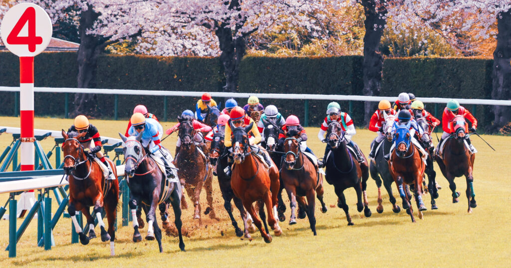 2025年4月5日、中山競馬場で行われた3歳未勝利戦の第4コーナーで撮影された写真。満開の桜を背に、各馬が芝を蹴り上げながら最後の直線へと向かう迫力ある一瞬