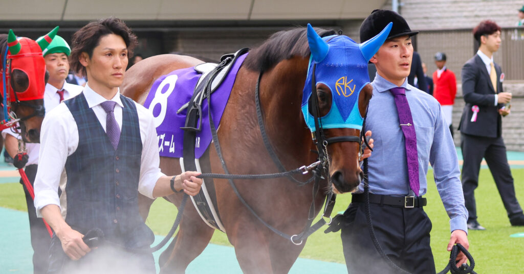 2025年5月11日、東京競馬場で行われたNHKマイルカップのパドックで撮影されたアドマイヤズームの写真。GⅠの本番を前に落ち着いた様子で周回する姿が印象的な一枚