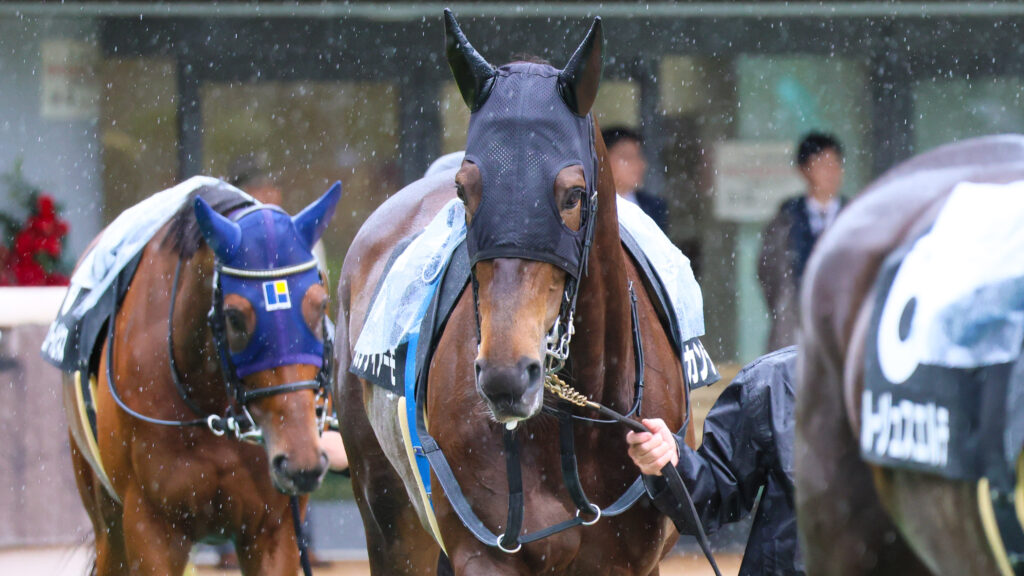 2025年5月18日東京競馬場の国分寺特別、雨のパドックを落ち着いた様子で周回する出資馬カンティアーモの姿