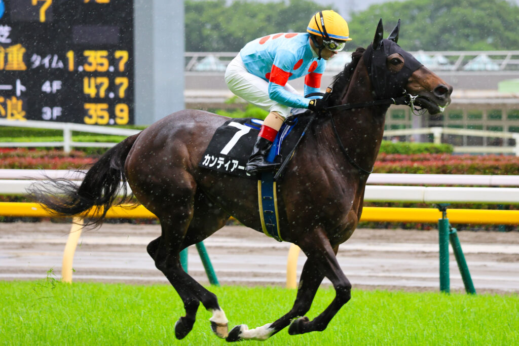 2025年5月18日東京競馬場の国分寺特別、返し馬でクリストフ・ルメール騎手が騎乗する出資馬カンティアーモの写真