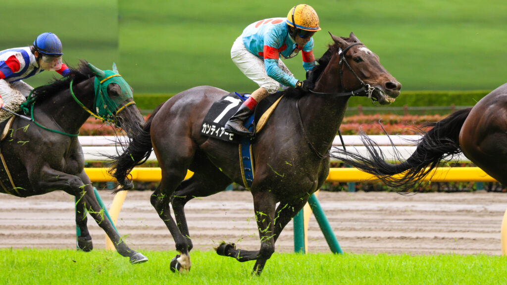 2025年5月18日東京競馬場の国分寺特別、ゴール50m手前で芝と泥を浴びながらルメール騎手とともに懸命に走る出資馬カンティアーモ