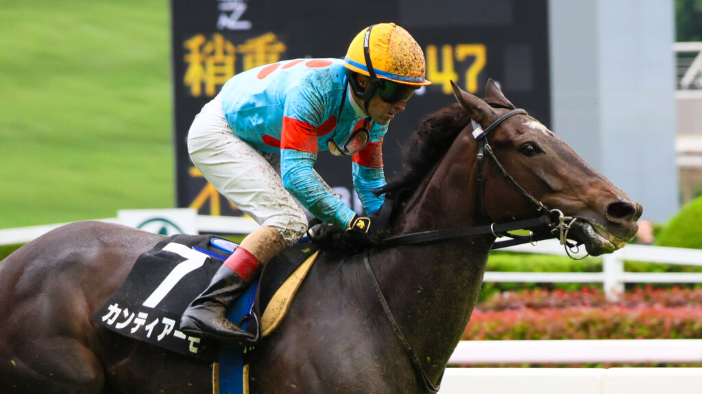 2025年5月18日東京競馬場の国分寺特別、雨の中ゴール前でルメール騎手と泥まみれで走る出資馬カンティアーモのレース写真