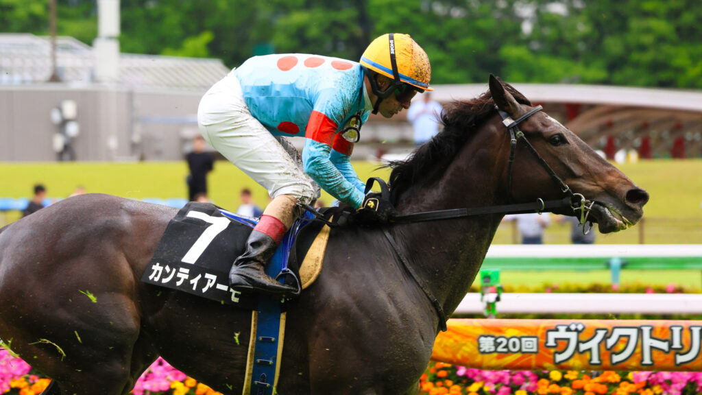 2025年5月18日東京競馬場の国分寺特別、雨の中ゴール前でルメール騎手と泥まみれで走る出資馬カンティアーモのレース写真