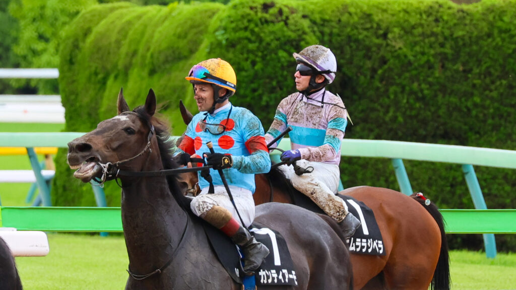 2025年5月18日東京競馬場の国分寺特別、雨の中のレース後にルメール騎手とともに泥だらけで戻ってくる出資馬カンティアーモの写真