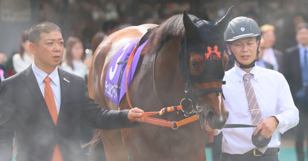 2025年東京競馬場、NHKマイルカップのパドックで撮影したチェルビアット(出資馬)