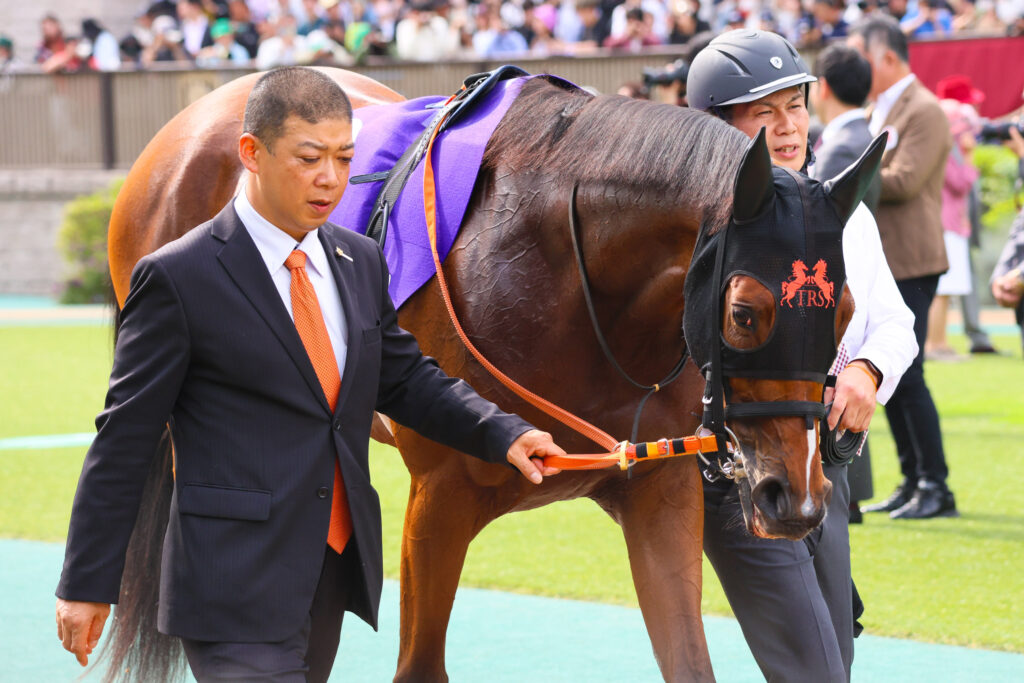 2025年東京競馬場、NHKマイルカップのパドックで撮影したチェルビアット(出資馬)