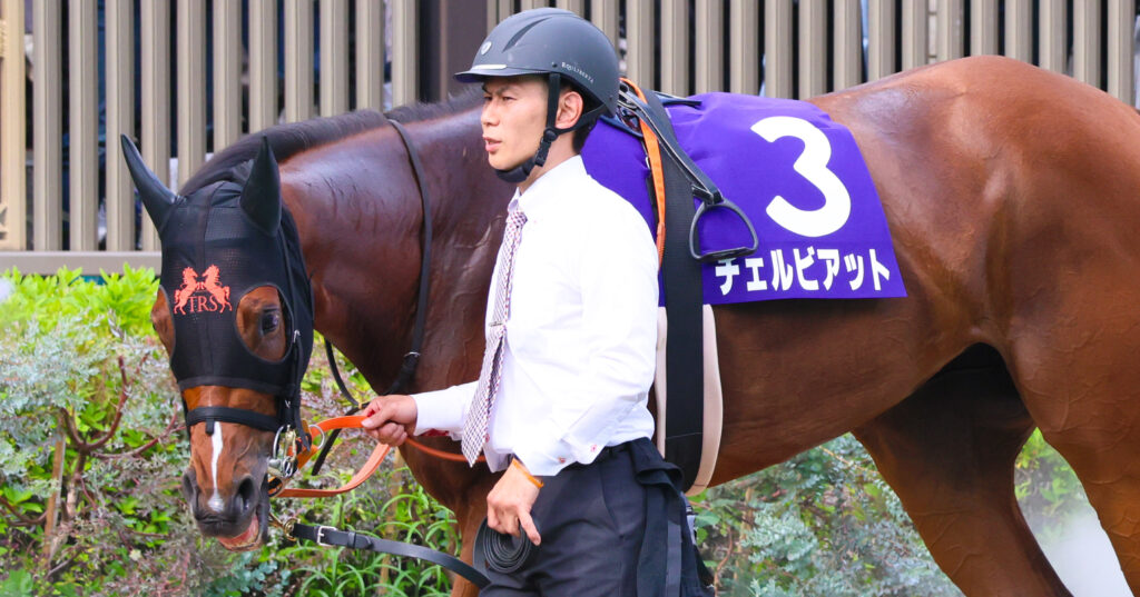 2025年東京競馬場、NHKマイルカップのパドックで撮影したチェルビアット(出資馬)