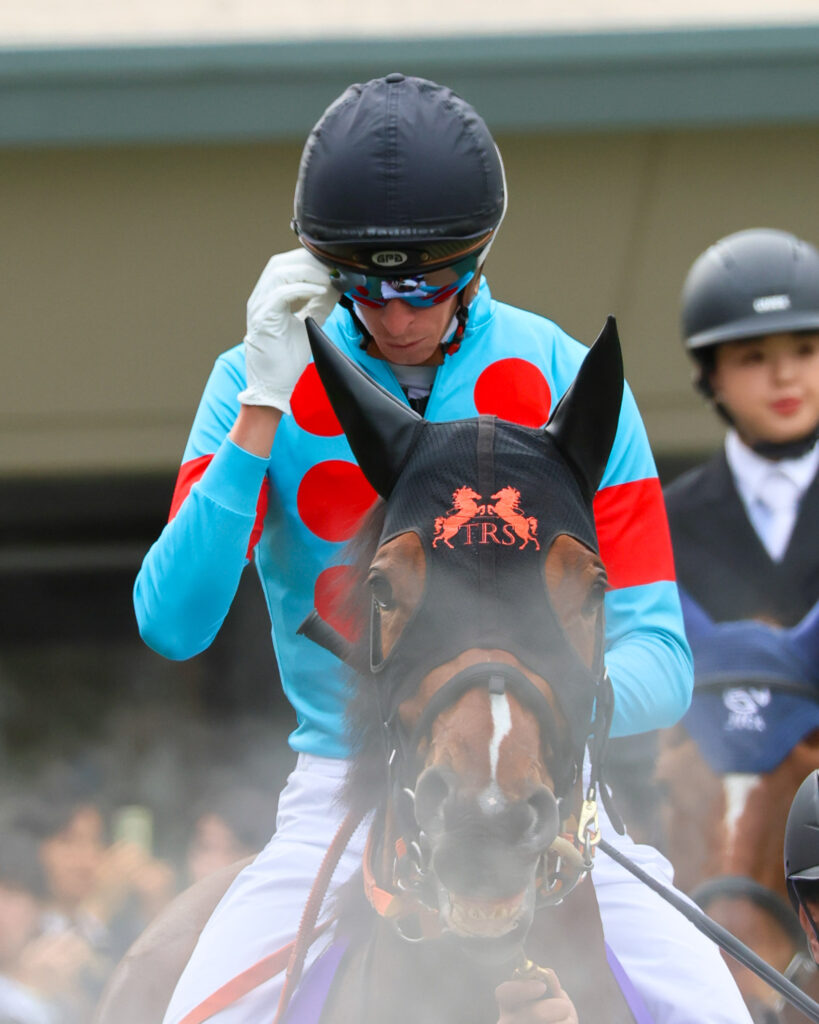 東京競馬場の2025年NHKマイルカップ、パドックでマイケル・ディー騎手が跨るチェルビアットの姿