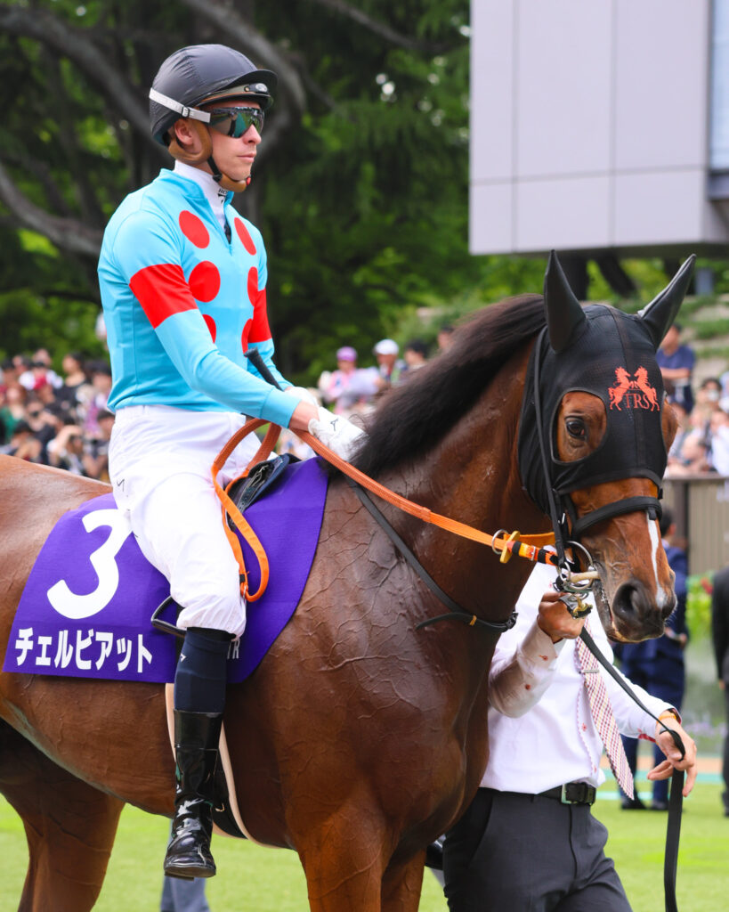 東京競馬場の2025年NHKマイルカップ、パドックでマイケル・ディー騎手が跨るチェルビアットの姿