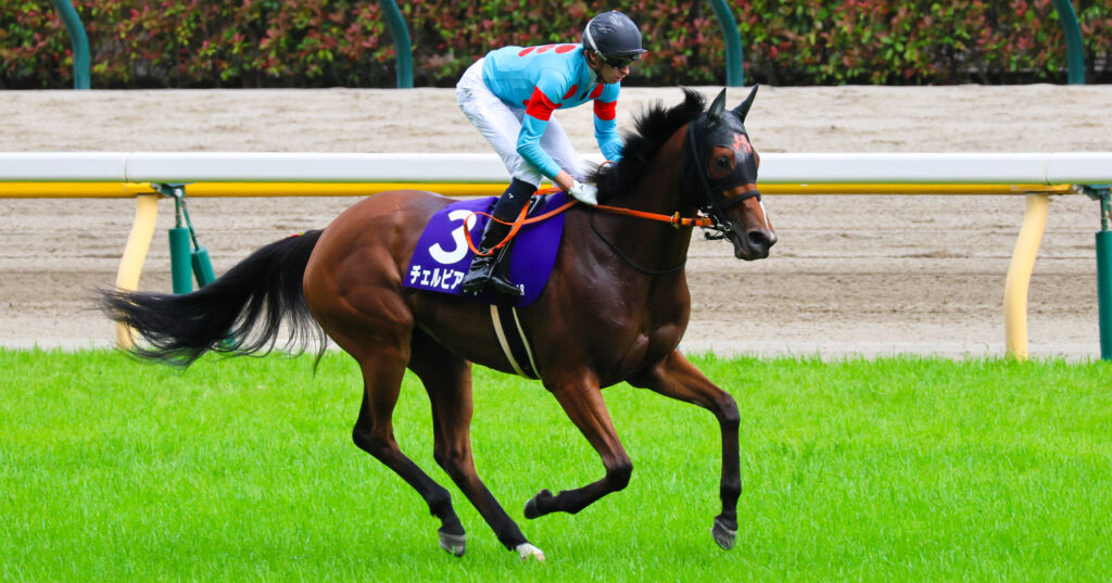 2025年NHKマイルC、返し馬で東京競馬場を走るチェルビアットとマイケル・ディー騎手