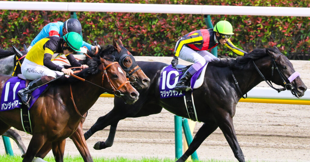 2025年東京競馬場・NHKマイルCのゴール前で3頭が接戦、中央にチェルビアット（出資馬）