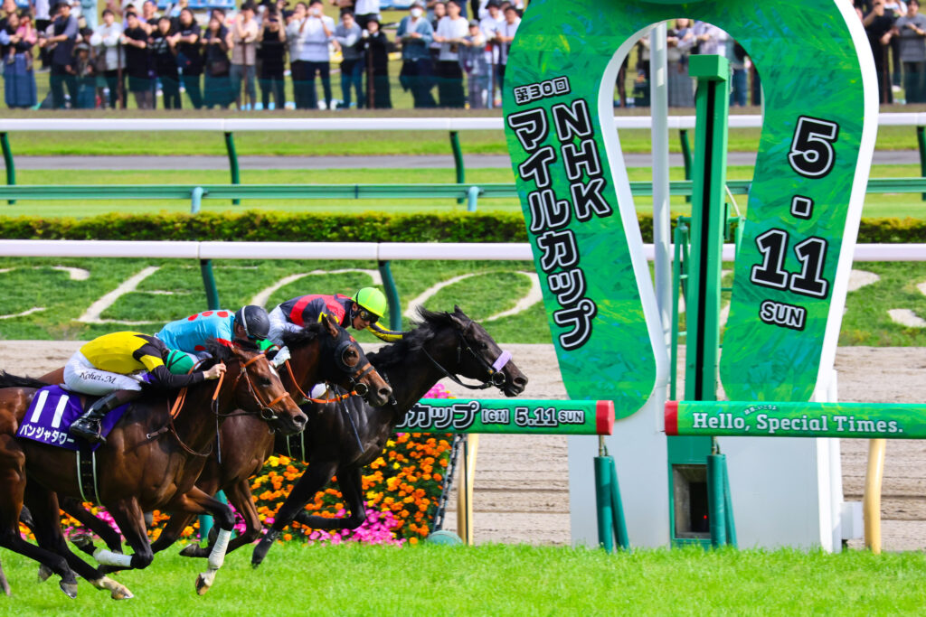 2025年東京競馬場・NHKマイルCのゴール前で3頭が接戦、中央にチェルビアット（出資馬）