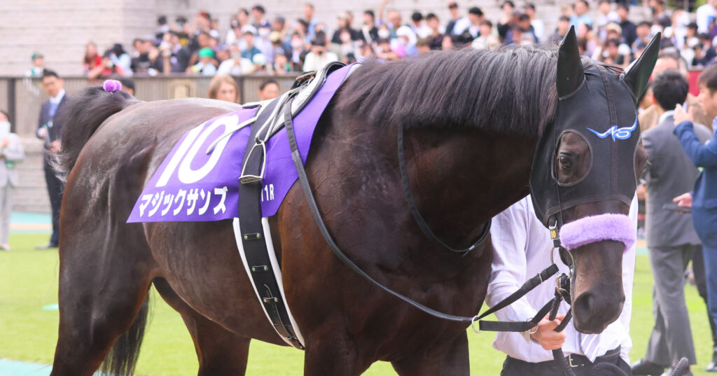 2025年5月11日、東京競馬場で行われたNHKマイルカップのパドックで撮影されたマジックサンズの写真。GⅠの本番を前に落ち着いた様子で周回する姿が印象的な一枚