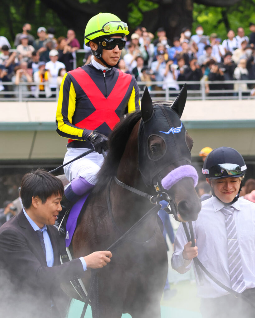 2025年5月11日、東京競馬場で行われたNHKマイルカップのパドックで撮影されたマジックサンズの写真。レジェンド・武豊騎手を背に、落ち着いた様子で堂々と周回する姿が印象的な一枚