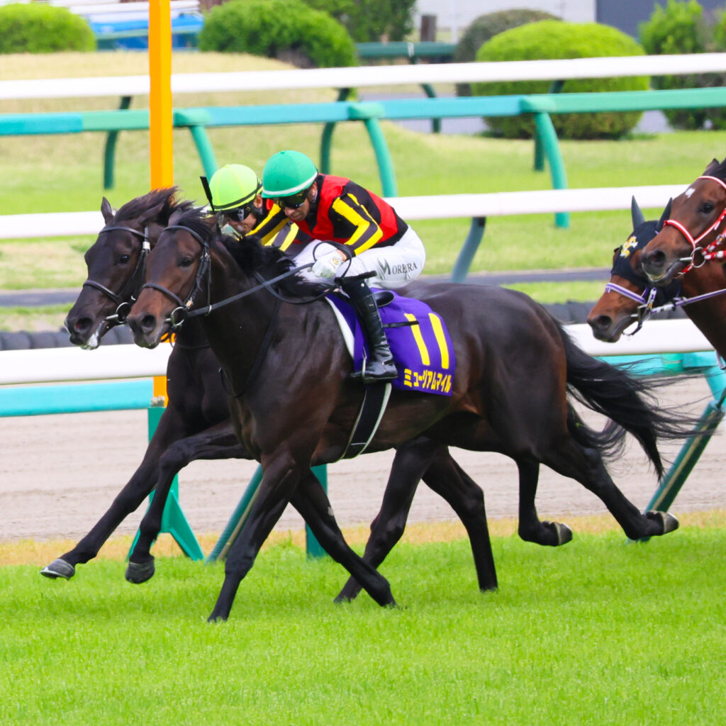 2025年4月20日、中山競馬場で行われた皐月賞のゴール前50m地点で撮影されたミュージアムマイルの写真。ジョアン・モレイラ騎手を背に、馬群から抜け出そうとする迫力ある瞬間