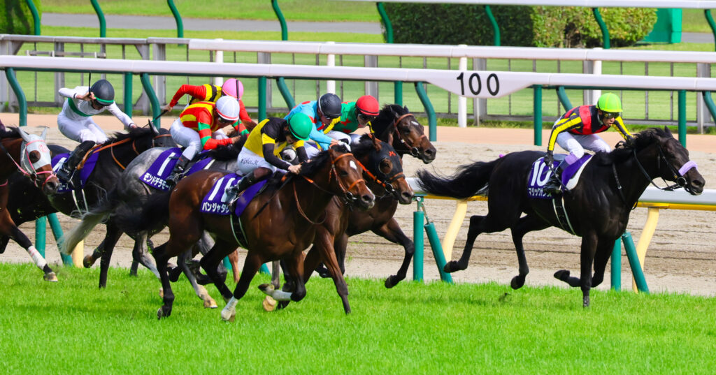 2025年5月11日、東京競馬場で行われたNHKマイルカップのゴール前100m地点で撮影された写真。抜け出すマジックサンズ、真ん中からは出資馬チェルビアットが伸び、外からパンジャタワーが鋭く差してくる白熱の勝負どころ