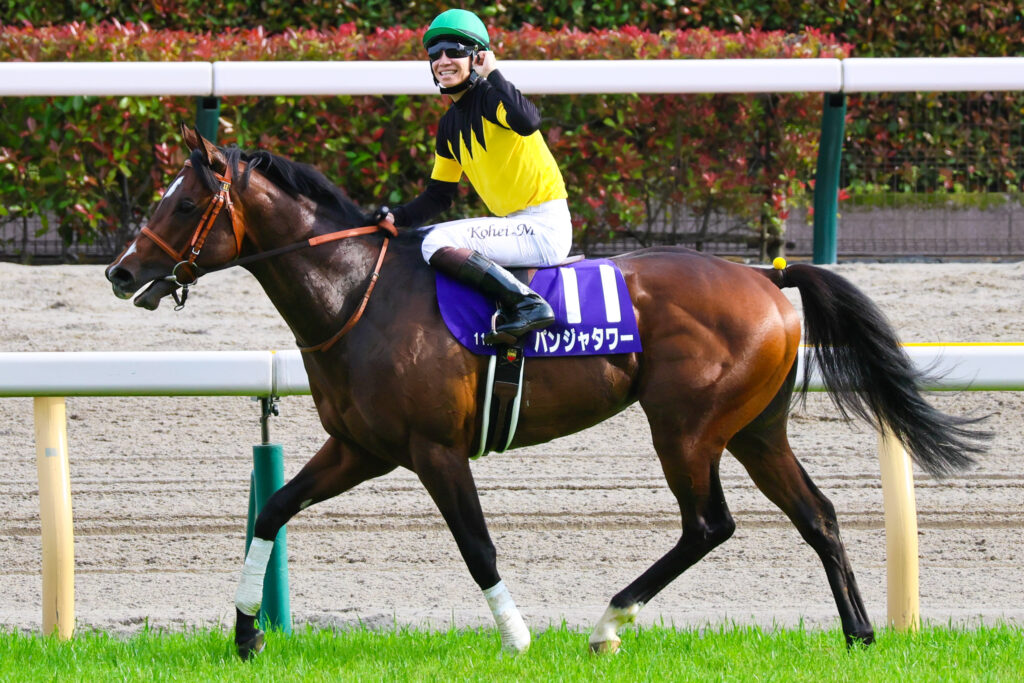 2025年5月11日、東京競馬場で行われたNHKマイルカップのウイニングランで撮影された写真。パンジャタワーの背で松山弘平騎手が笑顔でガッツポーズを決める、歓喜の瞬間を捉えた一枚