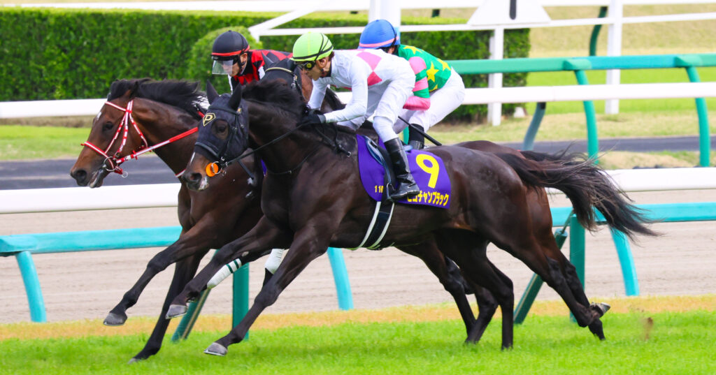 2025年撮影、中山競馬場で行われた皐月賞のスタート直後、ピコチャンブラックが石橋脩騎手を背にポジションをうかがいながら走り出す場面を捉えた写真