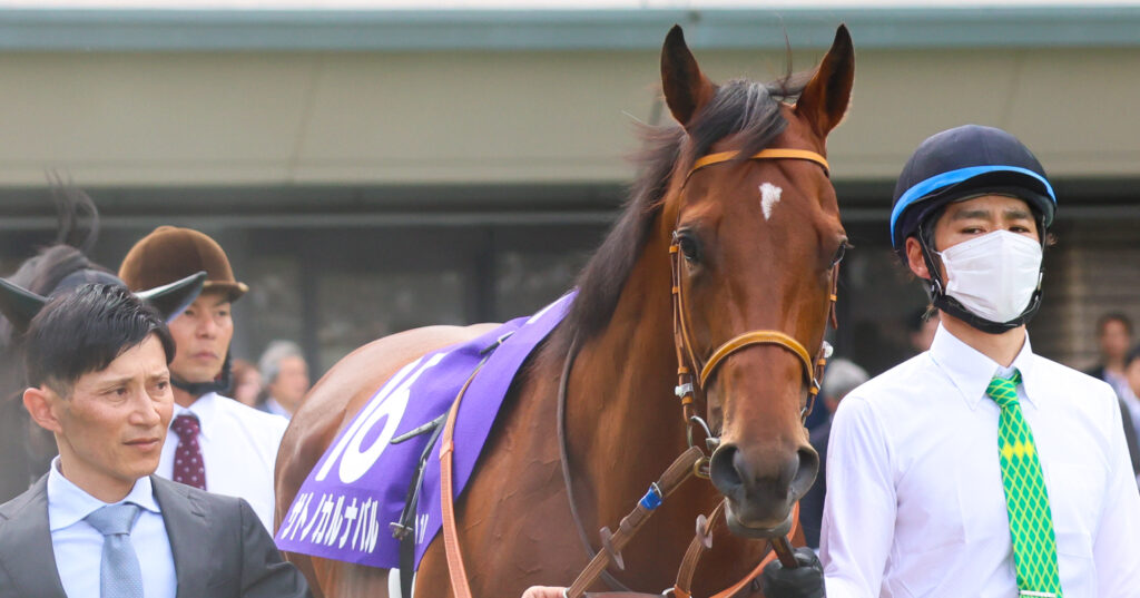 2025年5月11日、東京競馬場で行われたNHKマイルカップのパドックで撮影されたサトノカルナバルの写真。GⅠの本番を前に落ち着いた様子で周回する姿が印象的な一枚