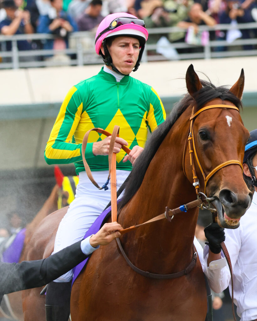 2025年撮影、東京競馬場のNHKマイルカップのパドックで、ダミアン・レーン騎手を背に周回するサトノカルナバルの落ち着いた表情が印象的な写真