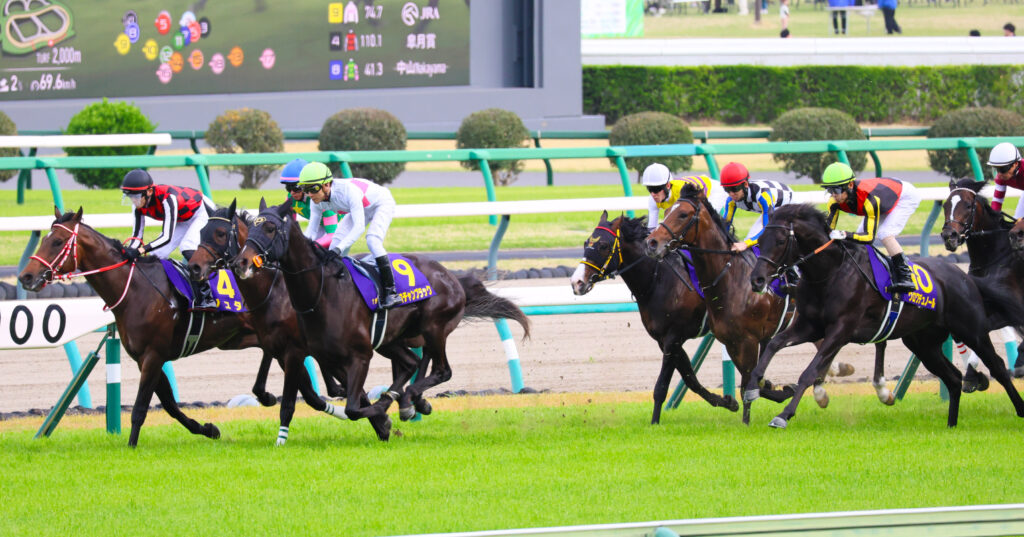 2025年4月20日、中山競馬場で行われた皐月賞のスタート直後に撮影された写真。各馬が出方を伺いながらポジションを探り、落ち着いた立ち上がりを見せる静かな緊張感が漂う一枚