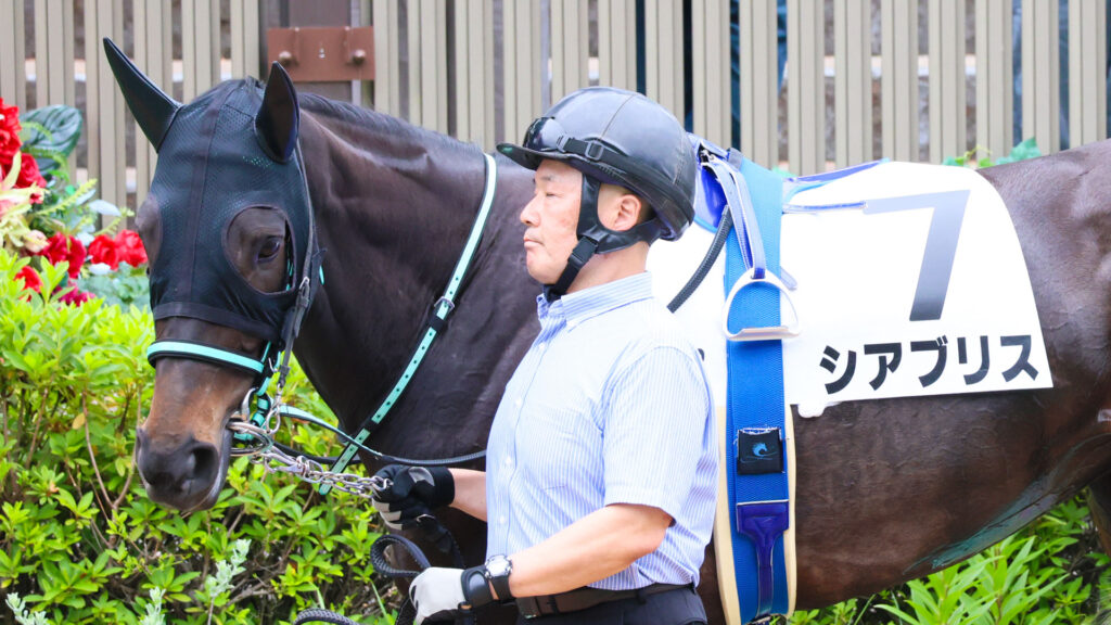 2025年5月24日東京競馬場の4歳以上1勝クラス、パドックを落ち着いた様子で周回する出資馬シアブリスの姿