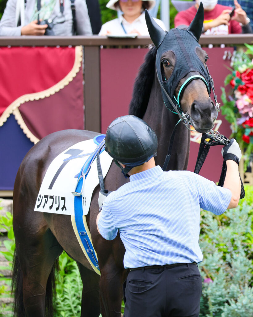 2025年5月24日東京競馬場の4歳以上1勝クラス、パドックを落ち着いた様子で周回する出資馬シアブリスの姿