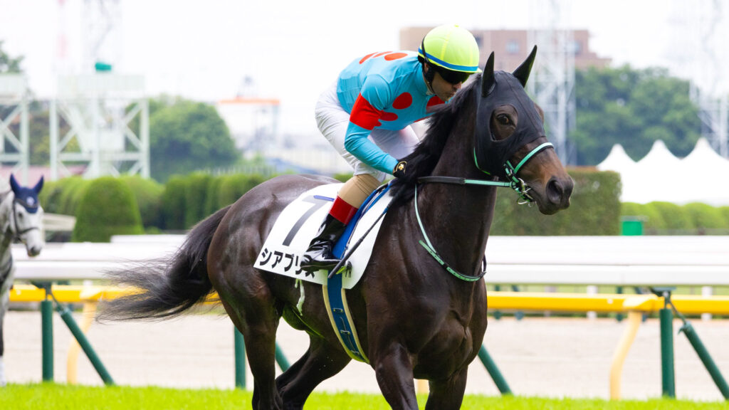 2025年5月24日東京競馬場の4歳以上1勝クラス、返し馬でルメール騎手が騎乗する出資馬シアブリスのレース前の姿