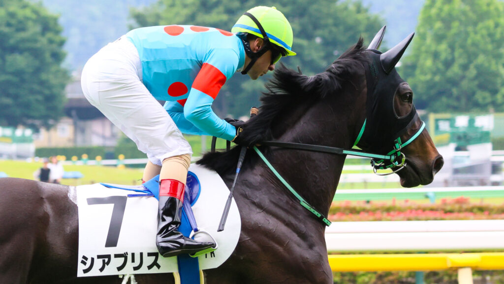 2025年5月24日東京競馬場の4歳以上1勝クラス、返し馬でルメール騎手が騎乗する出資馬シアブリスのレース前の姿