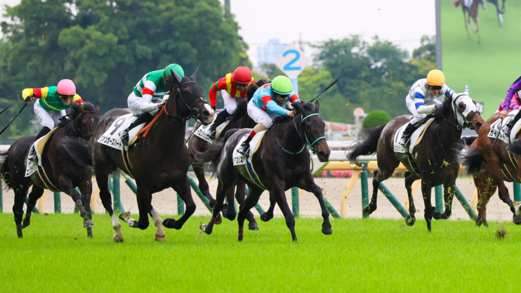 2025年5月24日東京競馬場の4歳以上1勝クラス、ゴール前でルメール騎手を背に懸命に走る出資馬シアブリスの力強い走り