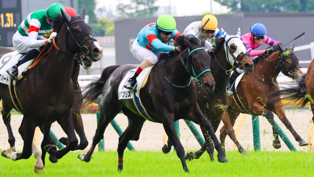 2025年5月24日東京競馬場の4歳以上1勝クラス、ゴール前でルメール騎手を背に懸命に走る出資馬シアブリスの力強い走り