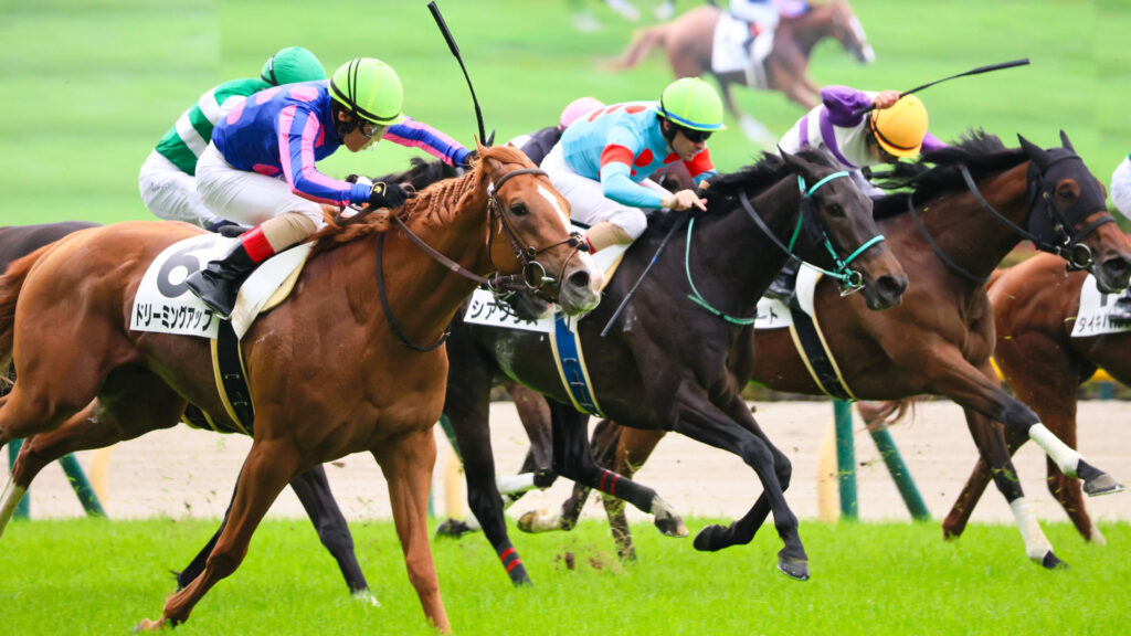 2025年5月24日東京競馬場の4歳以上1勝クラス、ゴール前でルメール騎手を背に懸命に走る出資馬シアブリスの力強い走り