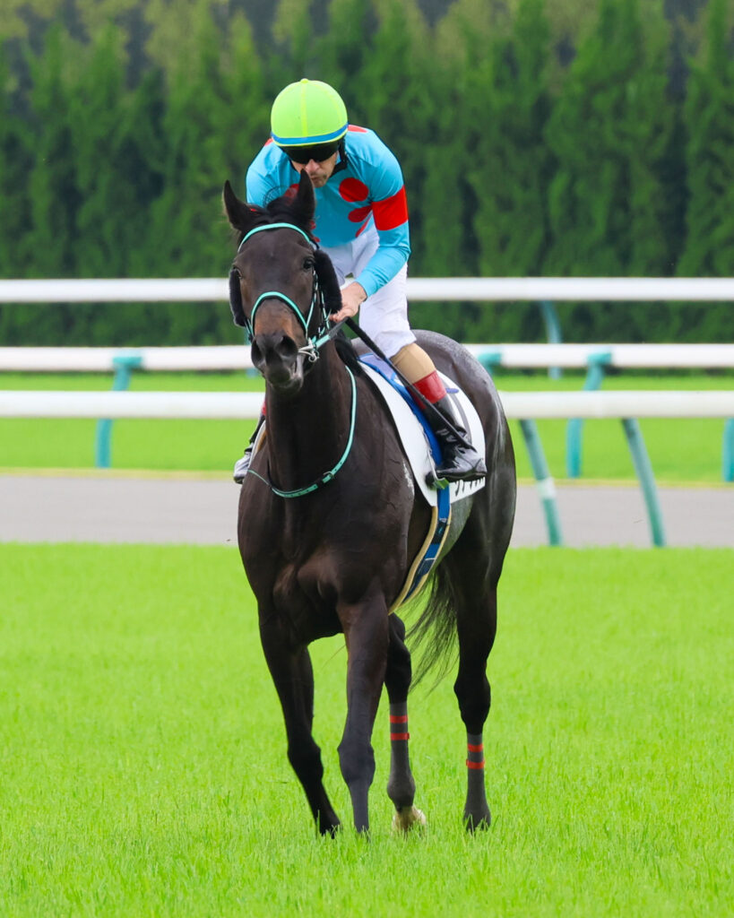 2025年5月24日東京競馬場の4歳以上1勝クラス、レースを終えてルメール騎手とともに戻ってくる出資馬シアブリスの姿