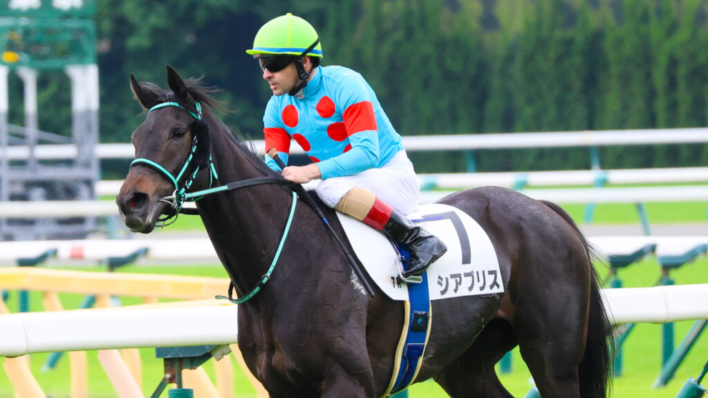 2025年5月24日東京競馬場の4歳以上1勝クラス、レースを終えてルメール騎手とともに戻ってくる出資馬シアブリスの姿