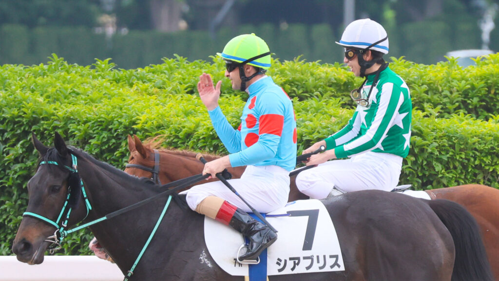 2025年5月24日東京競馬場の4歳以上1勝クラス、レースを終えてルメール騎手とともに戻ってくる出資馬シアブリスの姿