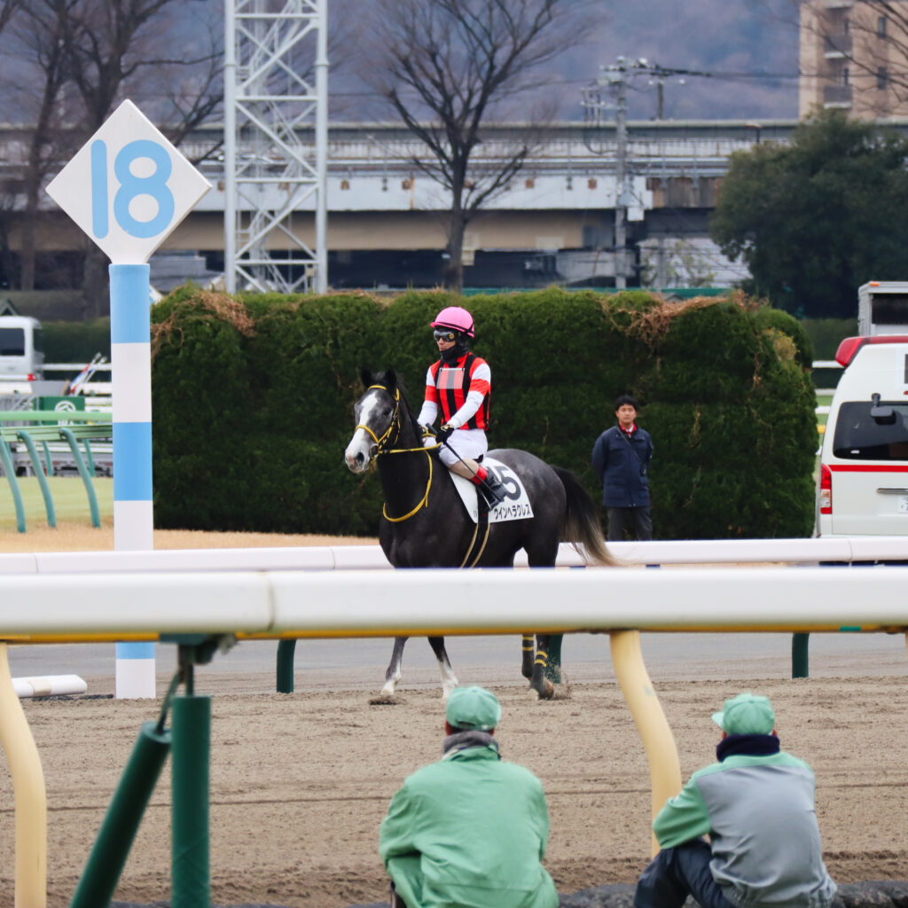 2024年2月4日東京競馬場のメイクデビュー新馬戦のレース後。松岡騎手を背にダートコースを通って戻ってくる出資馬ウインヘラクレス。